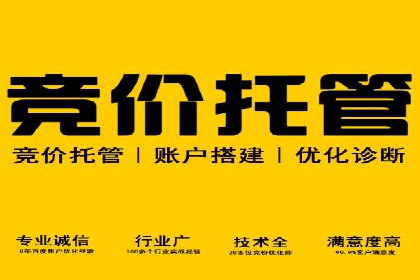 百度竞价SEM的优化策略：从案例看效果提升